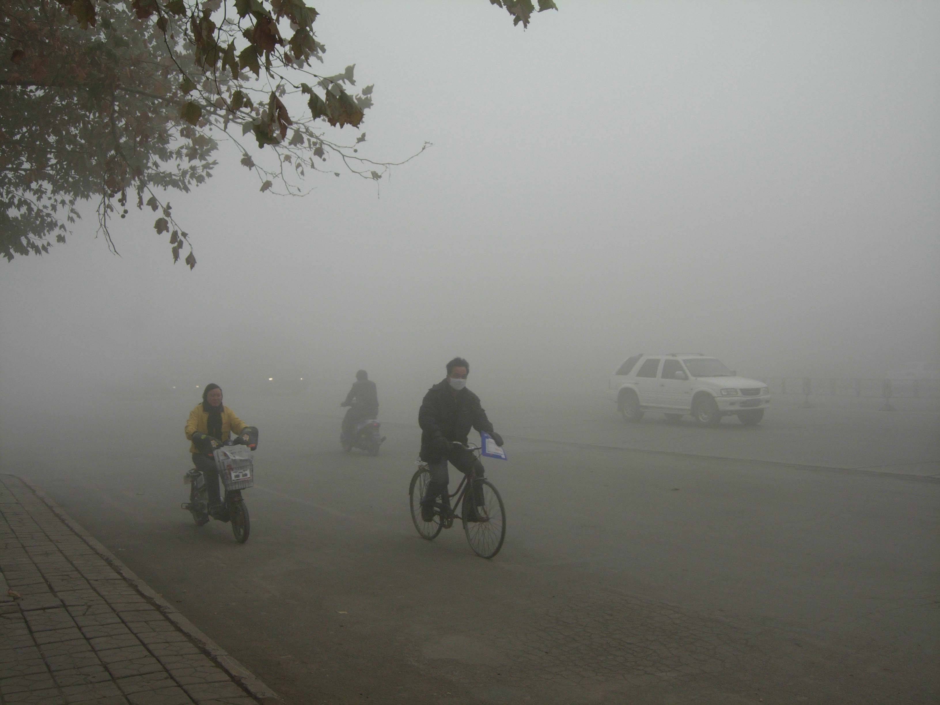 大霧天氣,謹防呼吸系統疾病