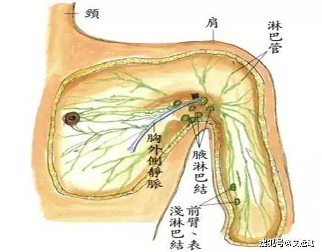 2,乳腺疾病,找腋下淋巴!