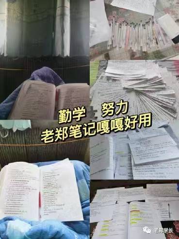 西南交通大學體育綜合346考研重點筆記資料_神經元_纖維_類型