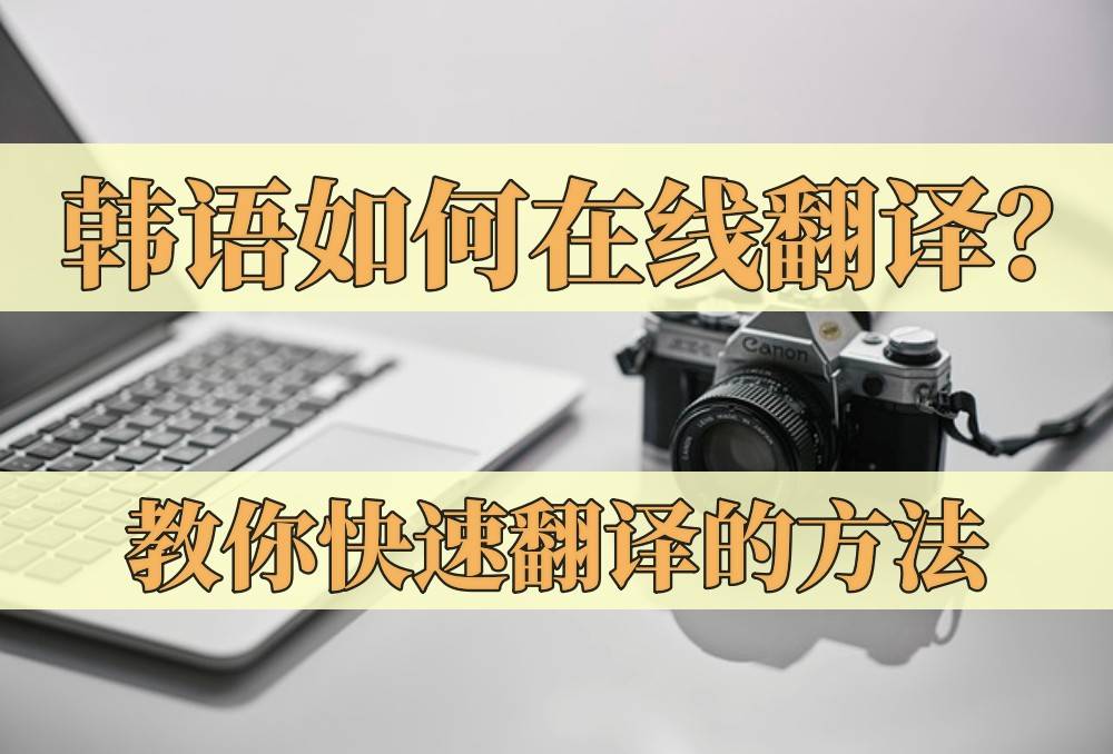 輸入需要翻譯的韓語句子;選擇