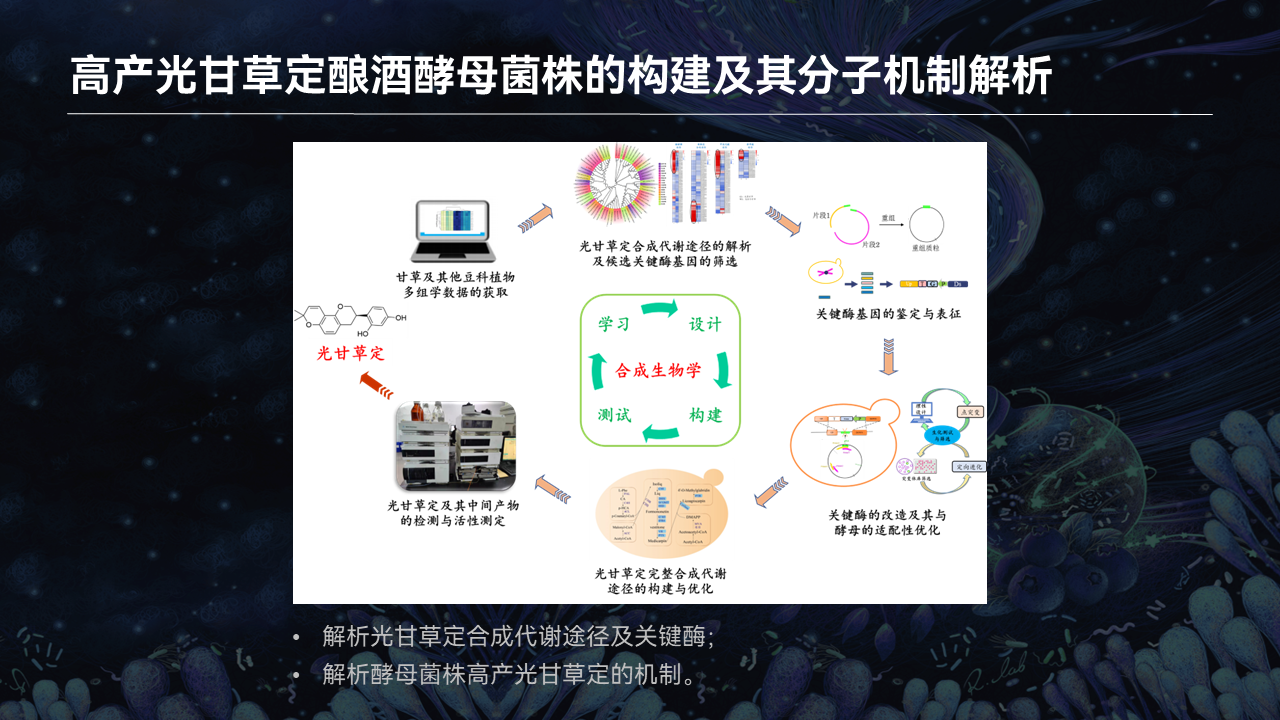 【圖文實錄】魏勇軍:微生物合成中草藥活性分子_進行_部分_可以將