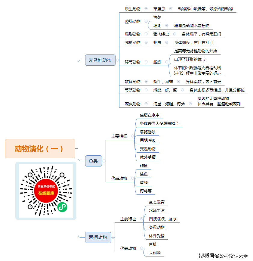 生物腔肠动物思维导图图片