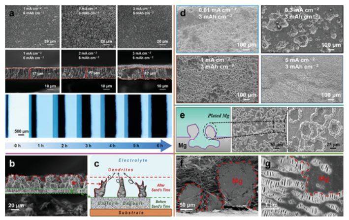 圖 4 不同電流密度下mg沉積物的俯視圖和橫截面掃描電鏡圖像,以及在