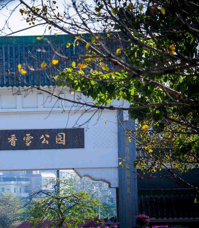 上海青浦香雪公园一处隐藏在郊区的美景