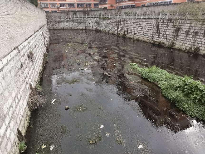 【我為群眾辦實事】治理河道垃圾 華西街道在行動__河