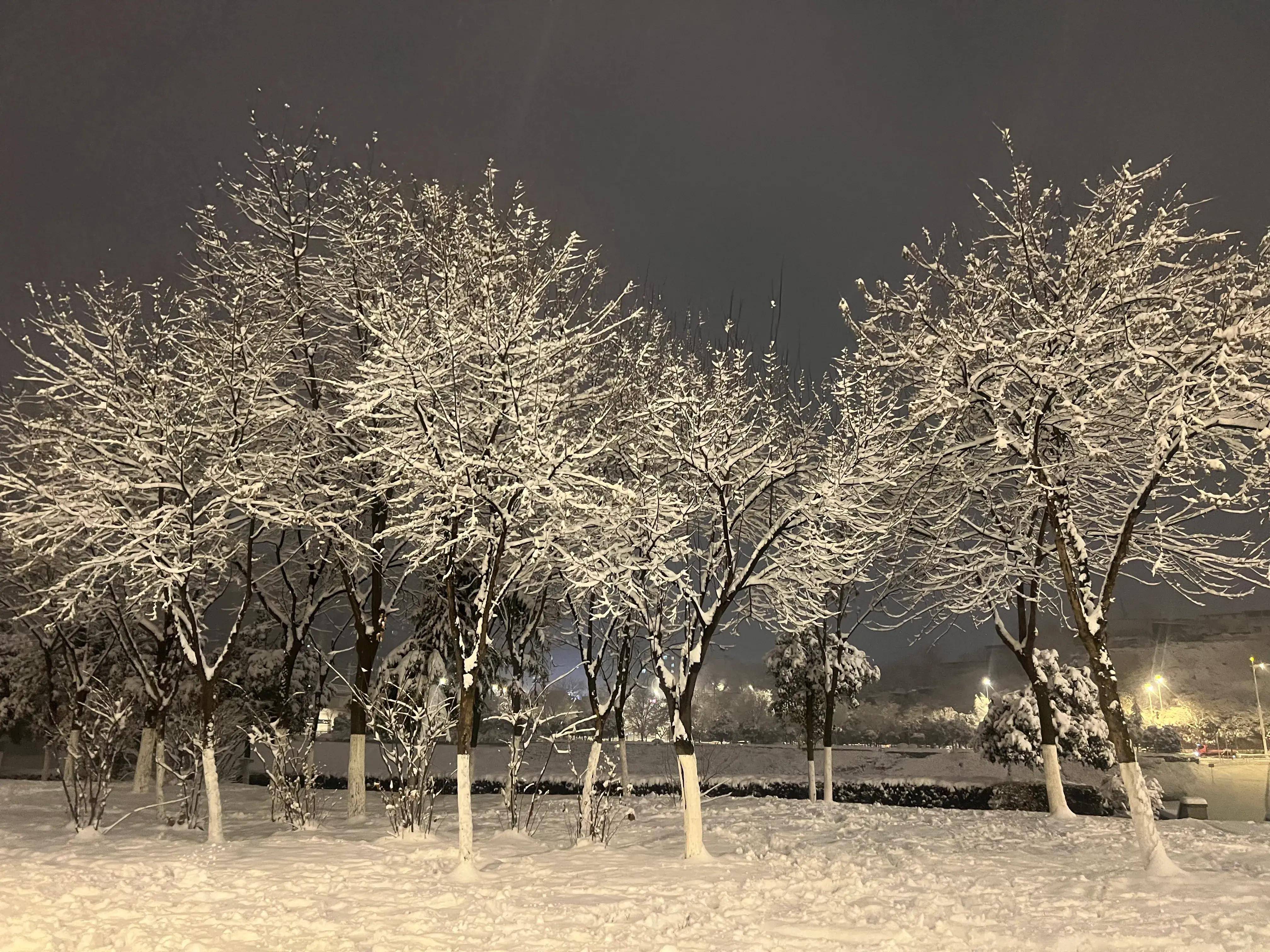 镜头:雪夜古城西安 宛如梦幻般童话世界(组图)