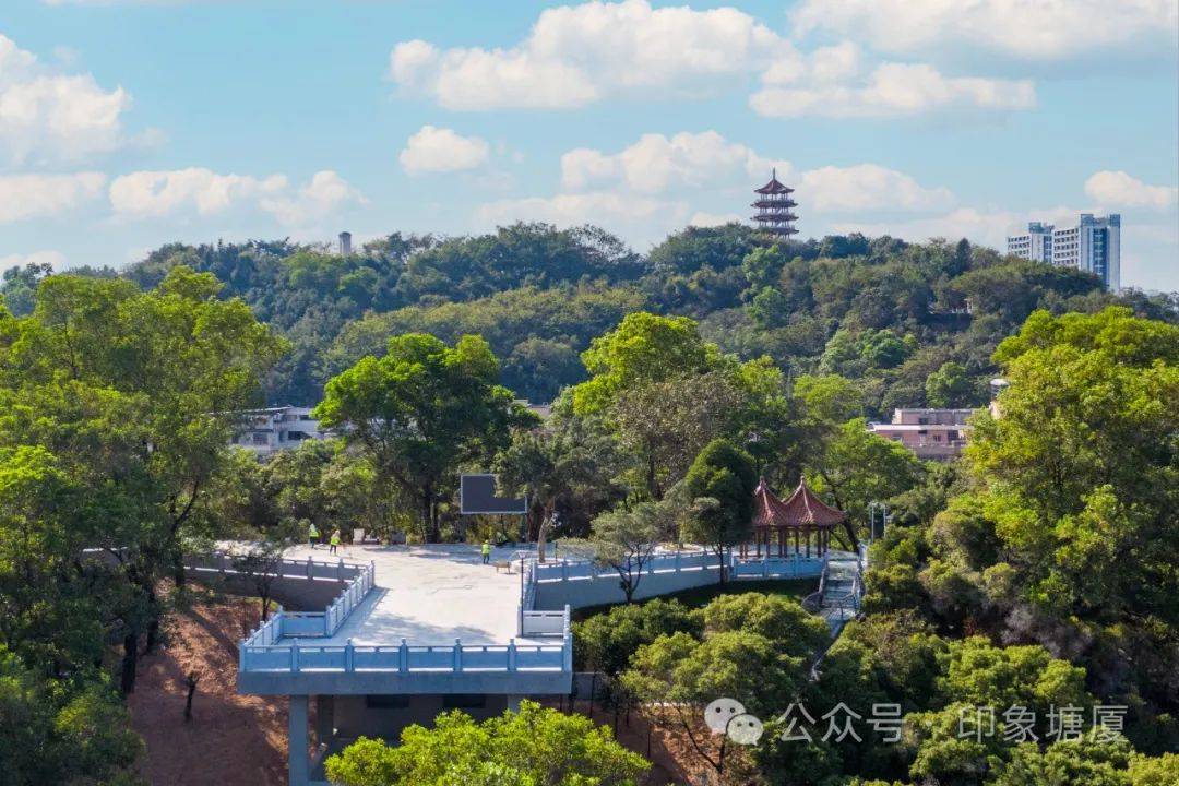 东莞塘厦田心文化广场图片