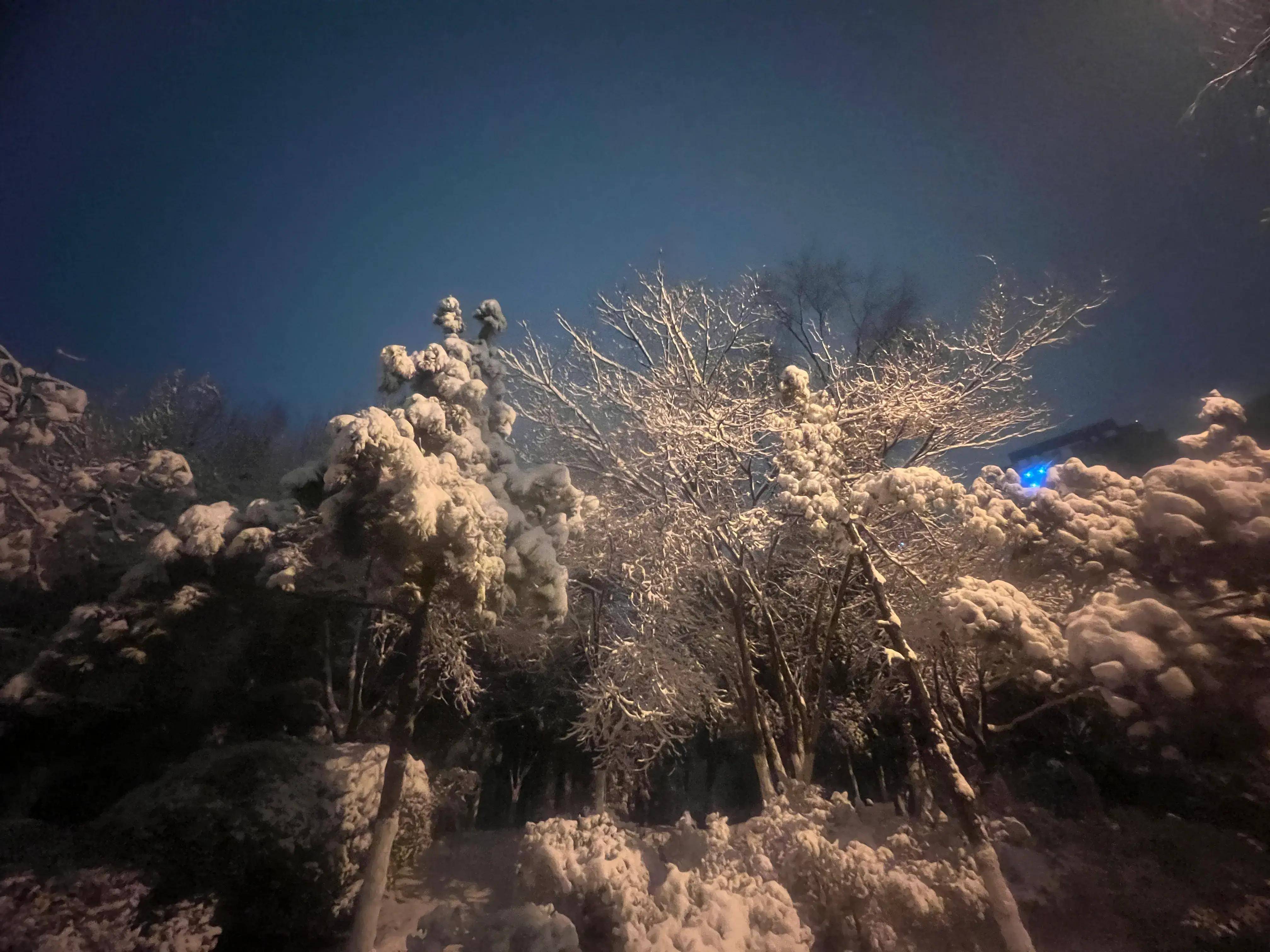 镜头:雪夜古城西安 宛如梦幻般童话世界(组图)_雪景_白雪_夜色