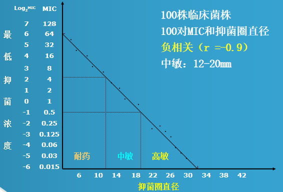 抗菌藥物在瓊脂內向四周擴散,因此敏感細菌在紙片周圍一定距離內的