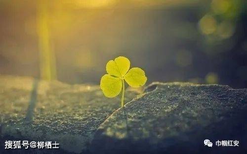 努力提升自己，比仰望别人更有意义