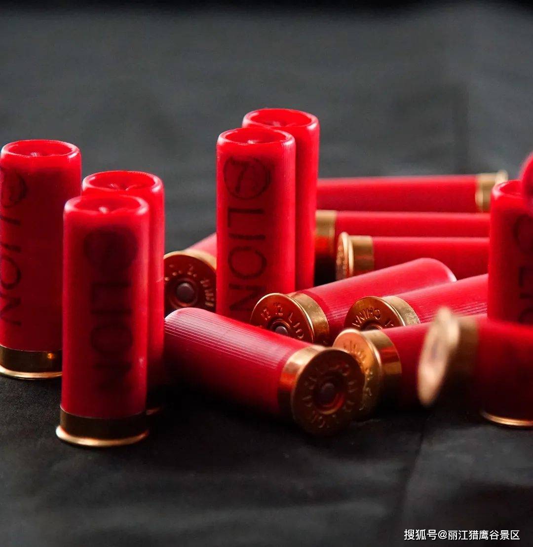 步枪之王—akm,手枪之王—伯莱塔手枪,国产名枪—健卫,峨眉步枪…等多