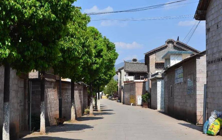 上海"为数不多"的城中村,村民每日都在等待拆迁,可却遥遥无期_生活