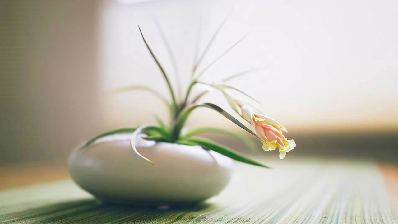 懂得了难得糊涂,才会静观万物,心境恬淡平和_生活_时光_时候