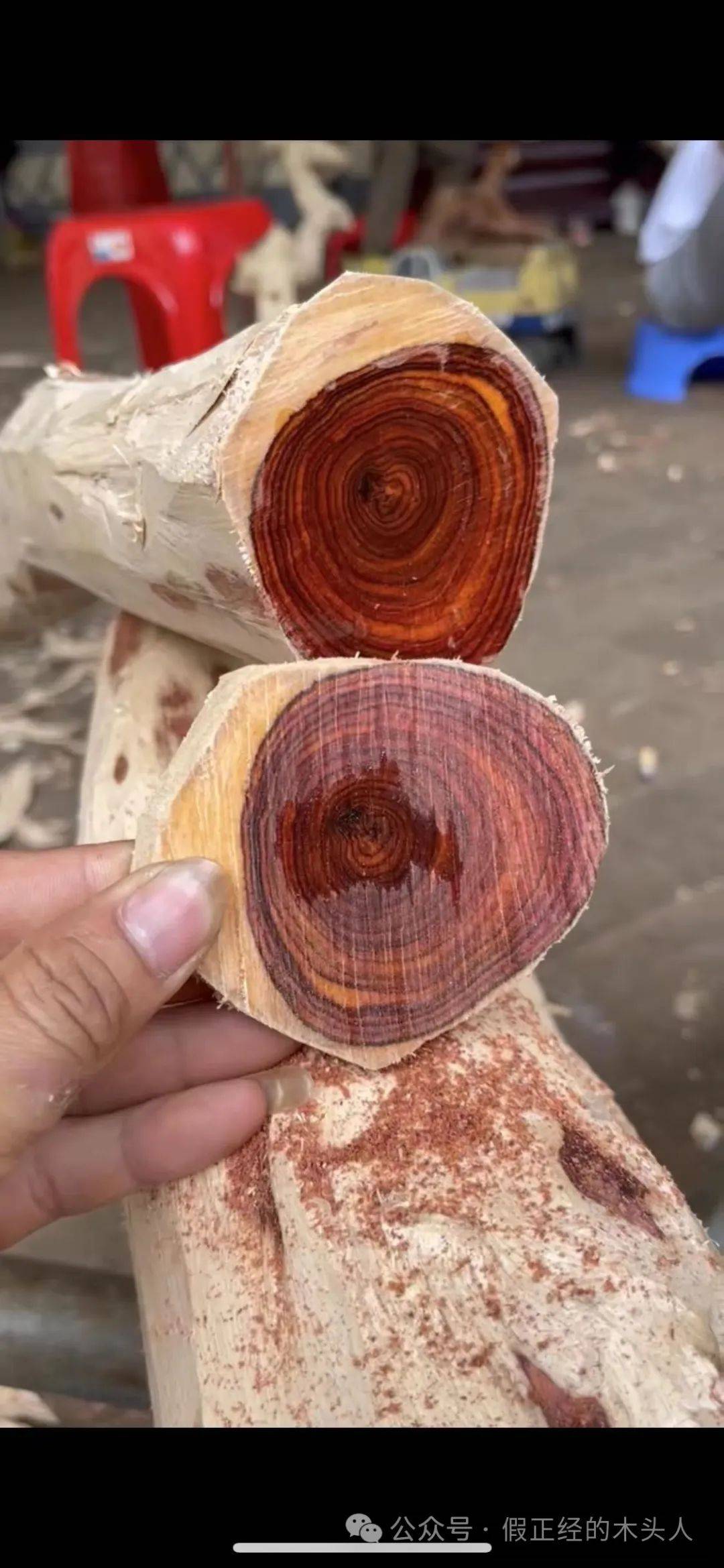 海南黄花梨(一)海南黄花梨认知(2)产地:海口(火山口)_材料_产区_东方