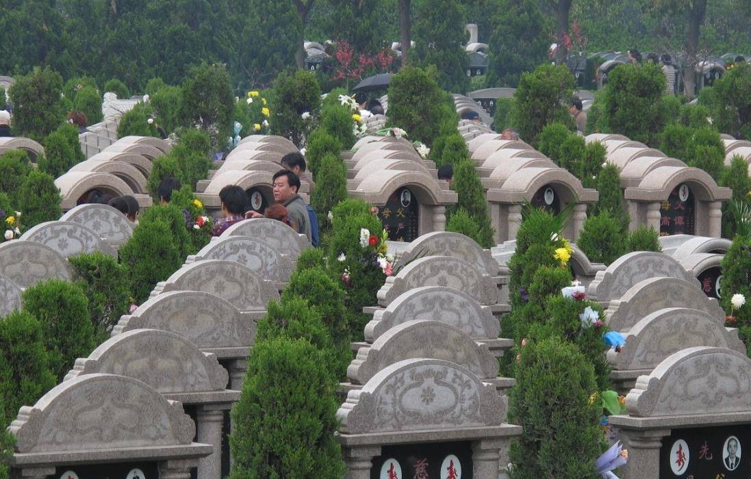 专门放骨灰盒,邻居气得想报警,屋主:这是我的自由_生活_商品房_墓地