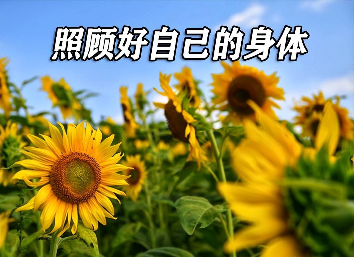 最好的活法,其实相当简单,就是善待自己_身体_人生_情绪