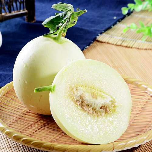 据中医记载,香瓜具有清热解暑,利尿消肿,润肺止咳等功效.