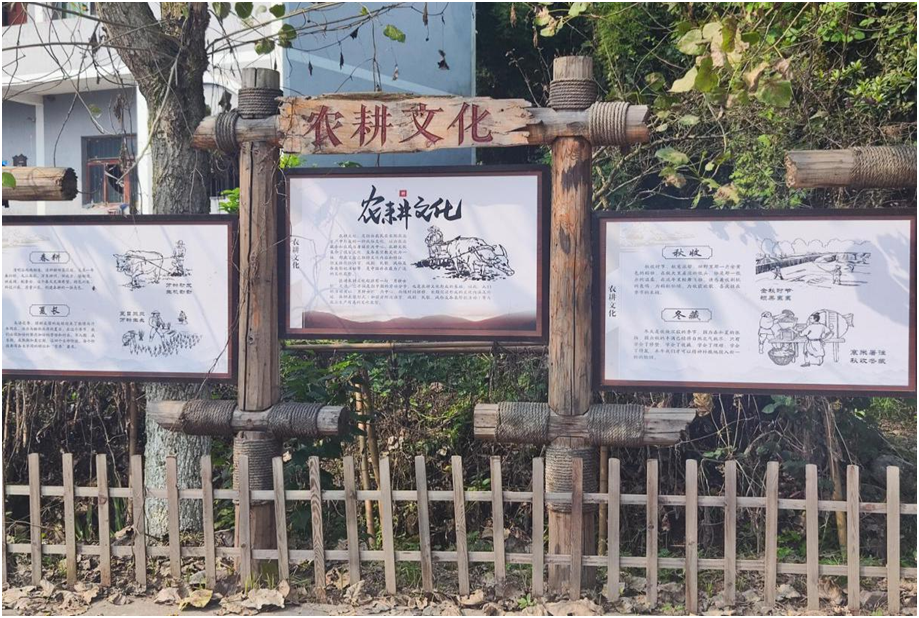 第六站:苏家寨影视文化广场苏家寨饮食文化广场有荷塘,有鱼塘,可以看