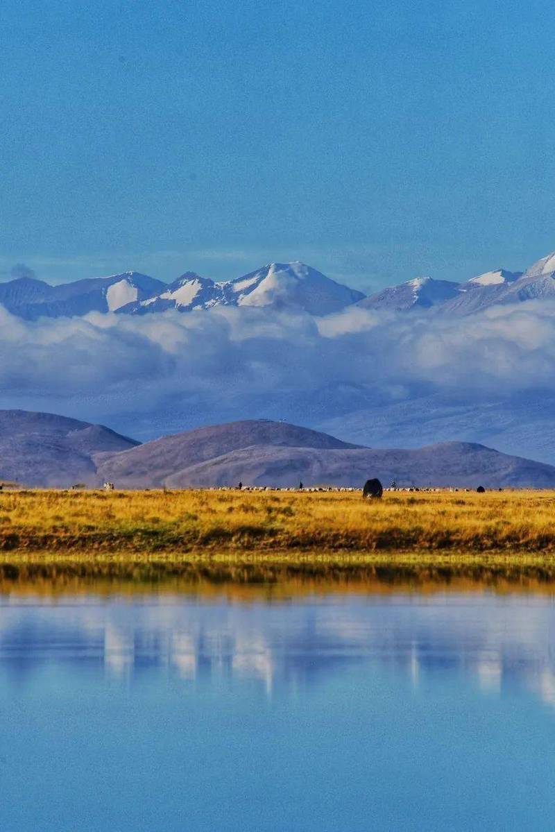 介绍一下找卓玛安排西藏跟团游的好处①到达拉萨的第一天,卓玛免费为
