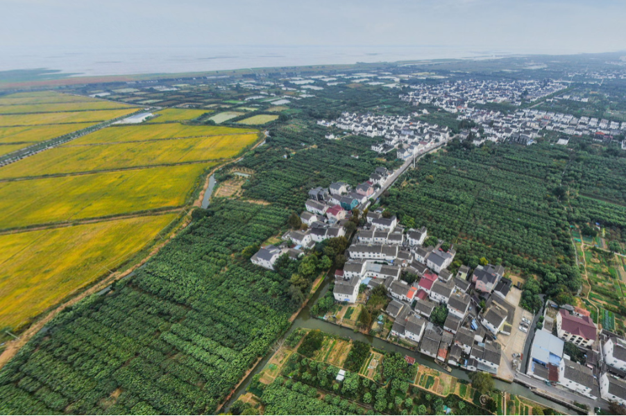 苏州吴中这1镇3村入选省级示范_江苏省_太湖_临湖镇