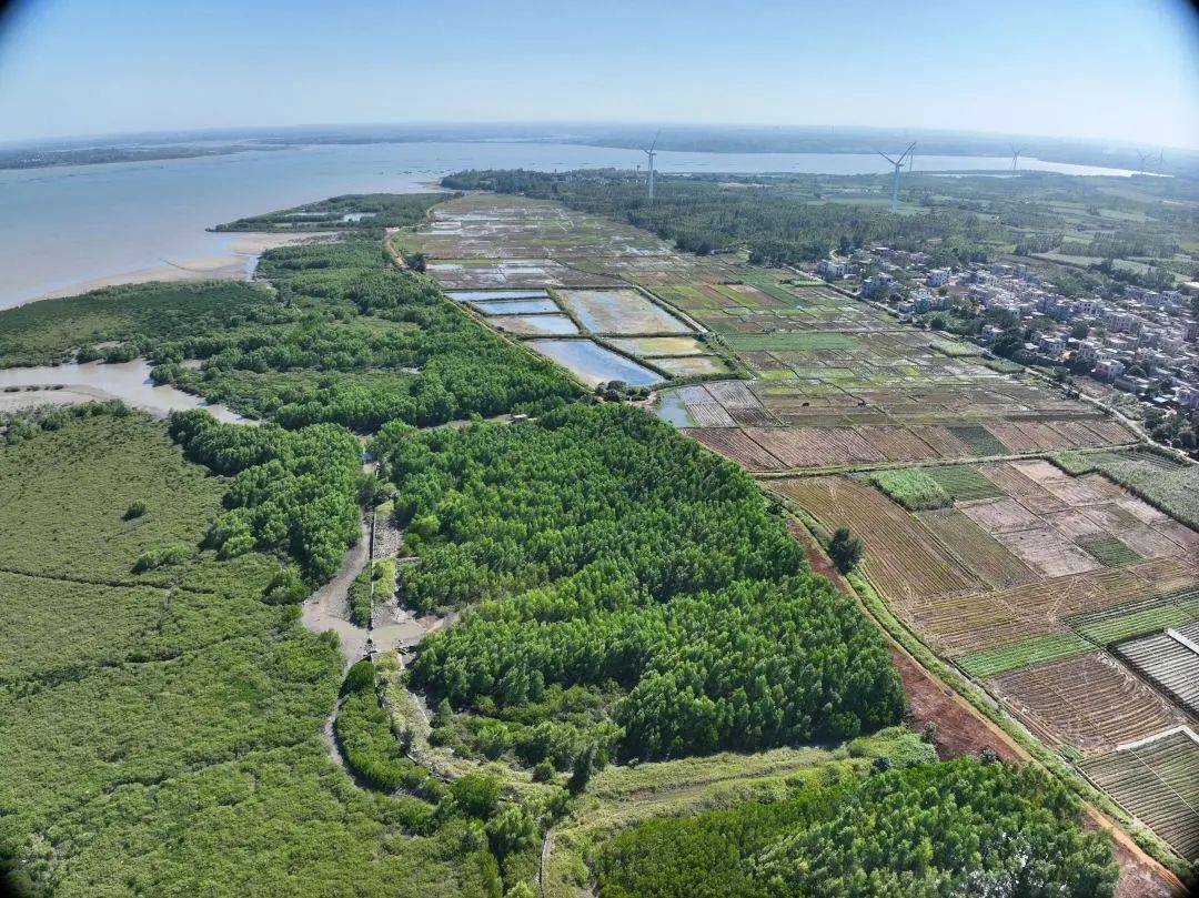 近日,湛江雷州市调风镇坎园村,卜昌村周边海域共计22.