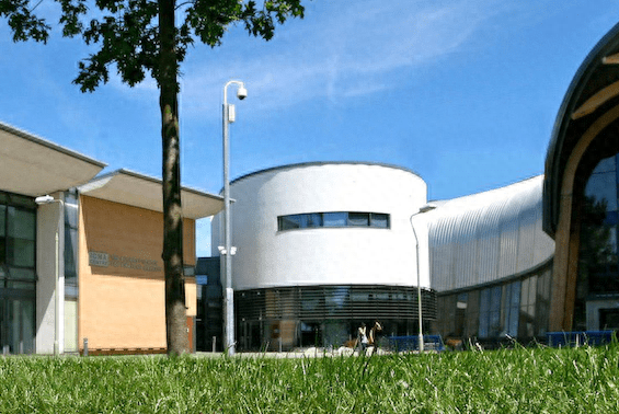 英国雷丁大学亨利商学院—博士后