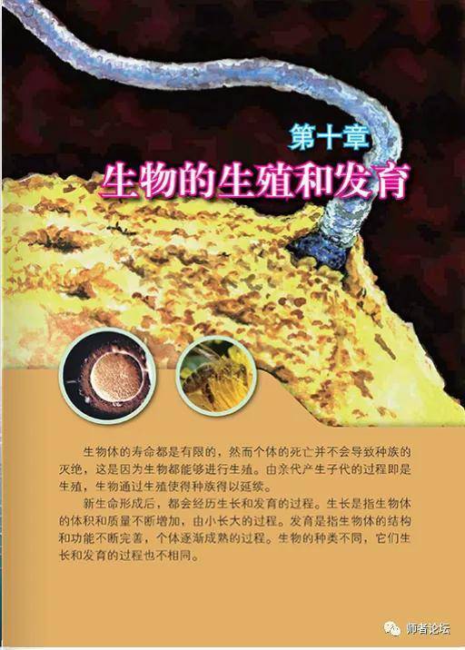 北京版八年级上册生物电子课本