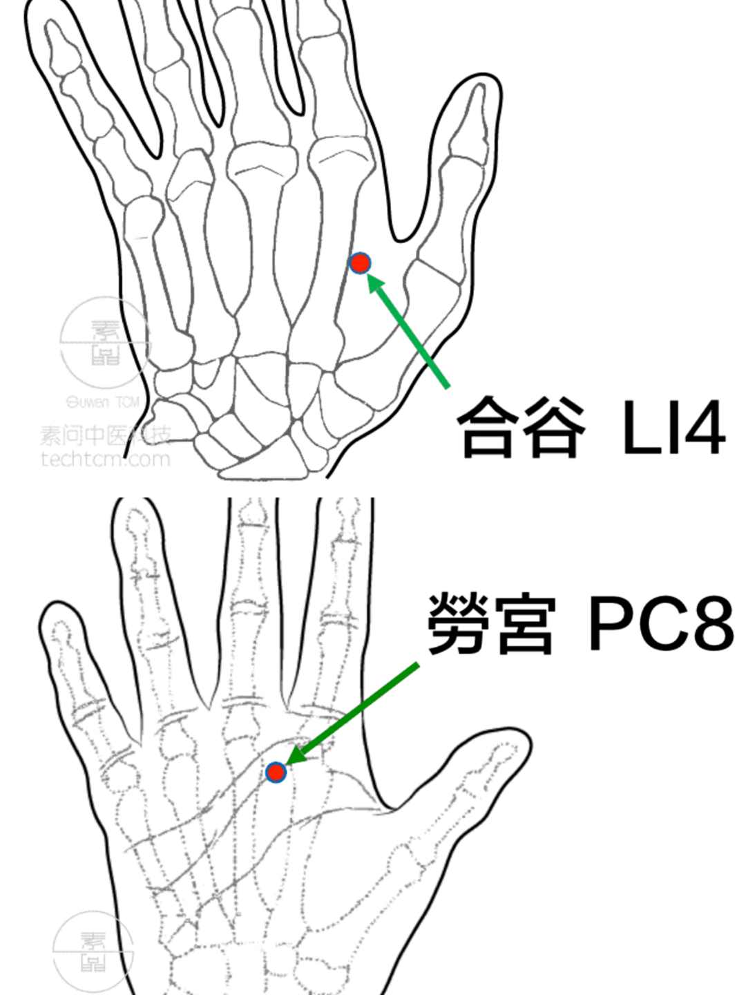 16. 膝陽關透曲泉;曲池透少海治症:膝蓋諸疾.