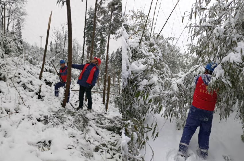 四川能投興文電力:頂風踏雪 抗冰保電_電網_線路_運行