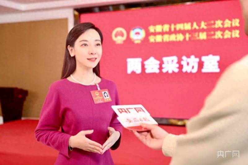 安徽省人大代表吴婷:打造全球新能源汽车中心,建立徽商基金_企业_发展