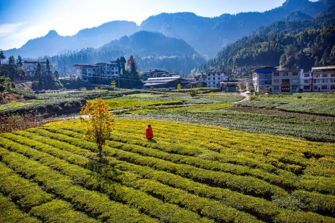 陈小林:我眼中的新河_利川_毛坝镇_湖北