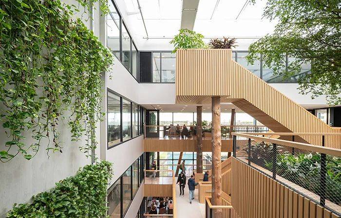 生长中的公共空间 | 学校建筑室内设计佳作_中庭_校区_自然