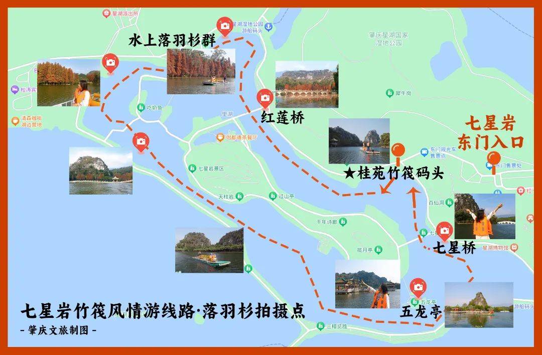 最新肇庆落羽杉打卡机位合集,解锁水上拍摄!_码头_星湖_玩法