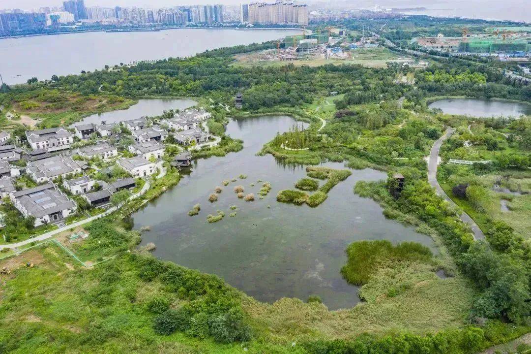 鸟儿的肯定有迹可循,具有国家湿地公园之称的唐岛湾,包括唐岛湾内湾