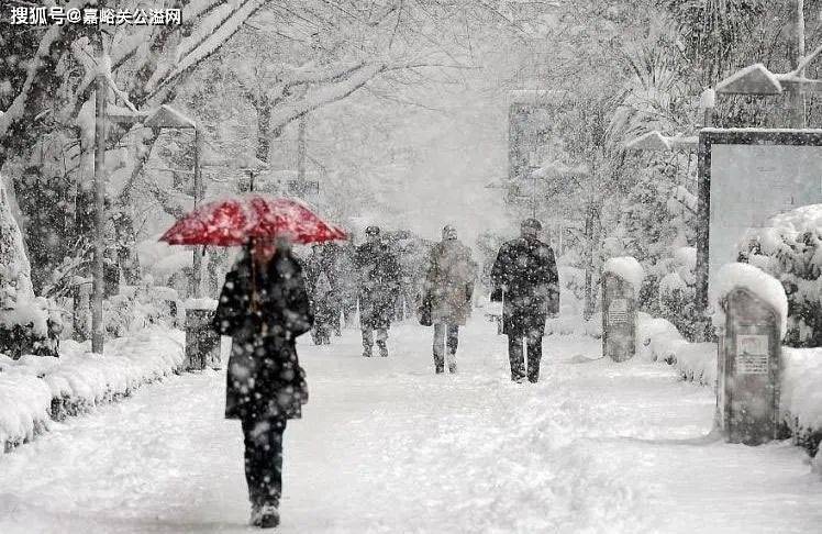 雨夹雪转暴雨图片