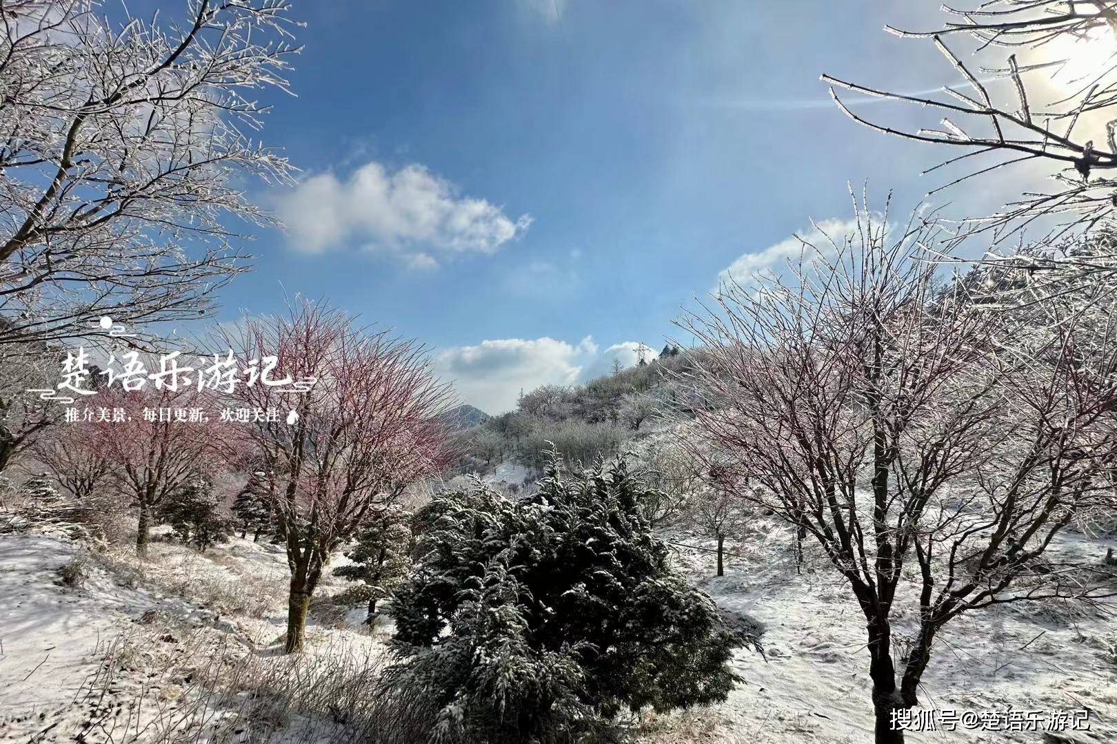 當然,一場大雪過後,山溝裡到處銀裝素裹,應該比秋天好看一些.