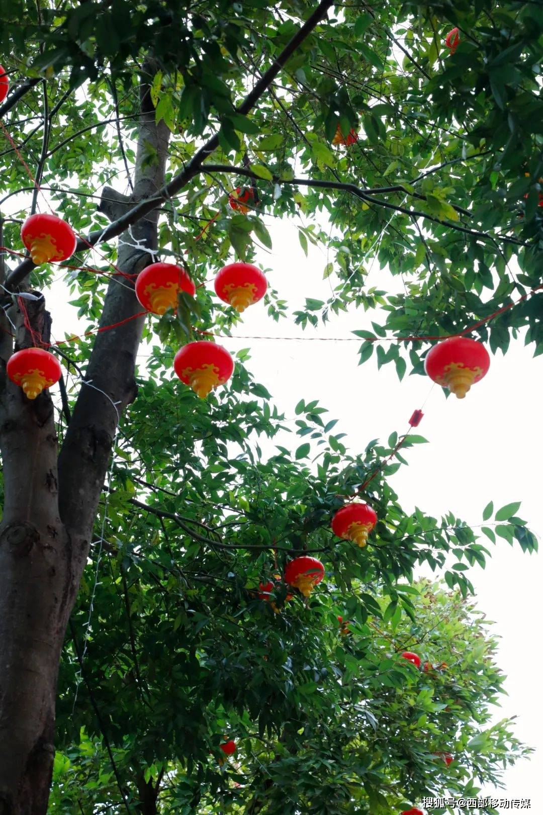 云南盐津:红灯笼上线,春节氛围感拉满