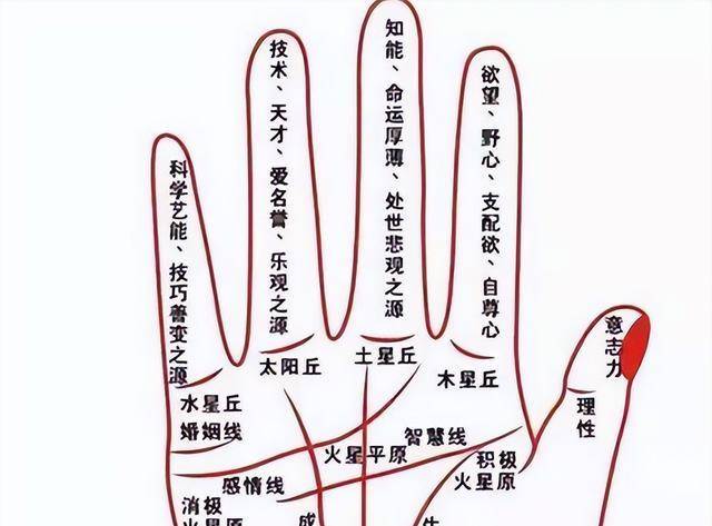 俗语:小指过三关,到老有吃穿,是啥意思?看看你的小指过了没?