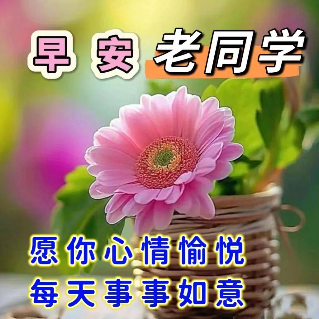 8张免打字早上好漂亮的表情包祝福图片带字,暖心的早安问候语短信