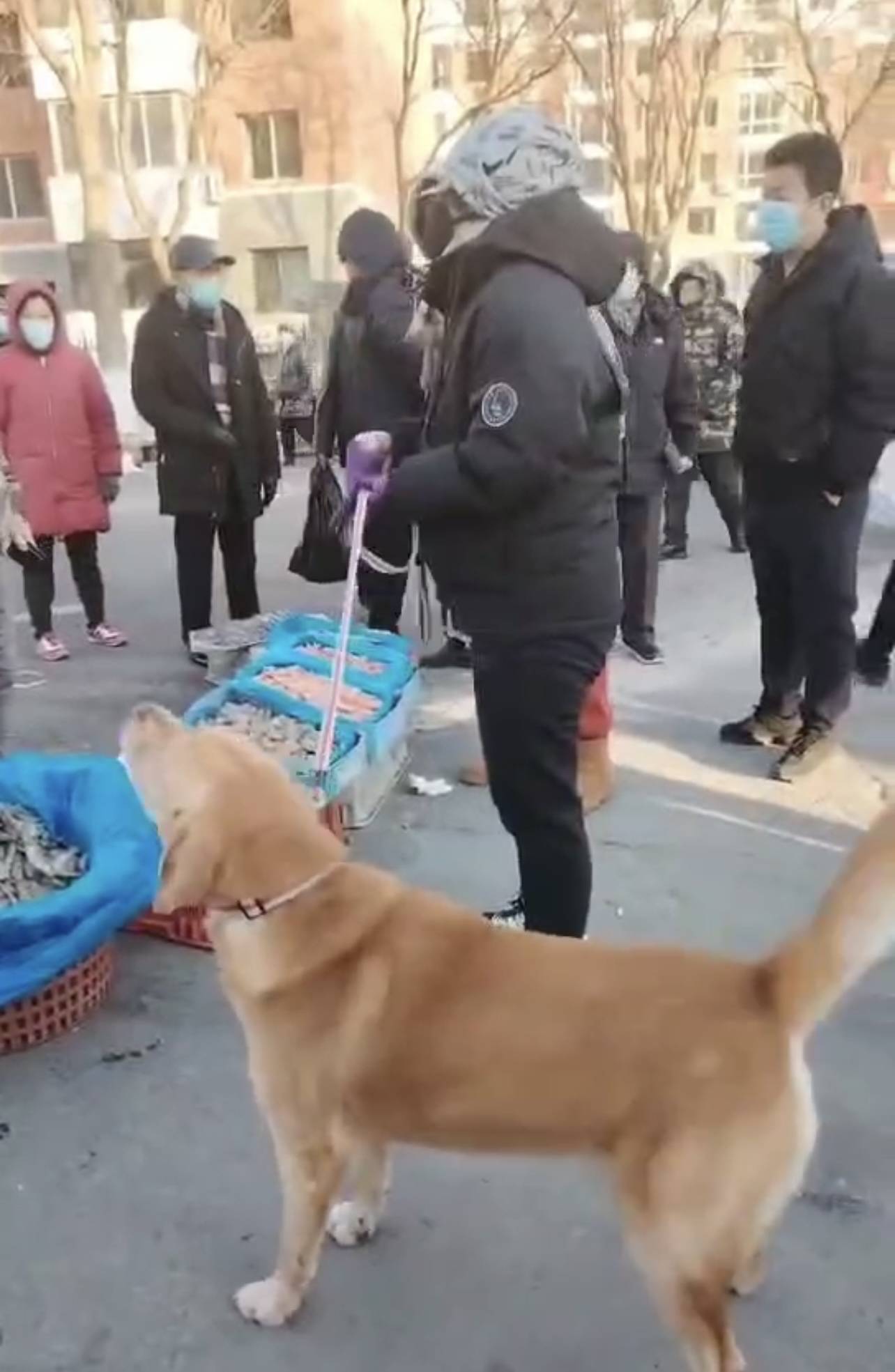 阜新女子牽狗逛早市,狗尿海鮮上,女主人不肯賠錢,想擦