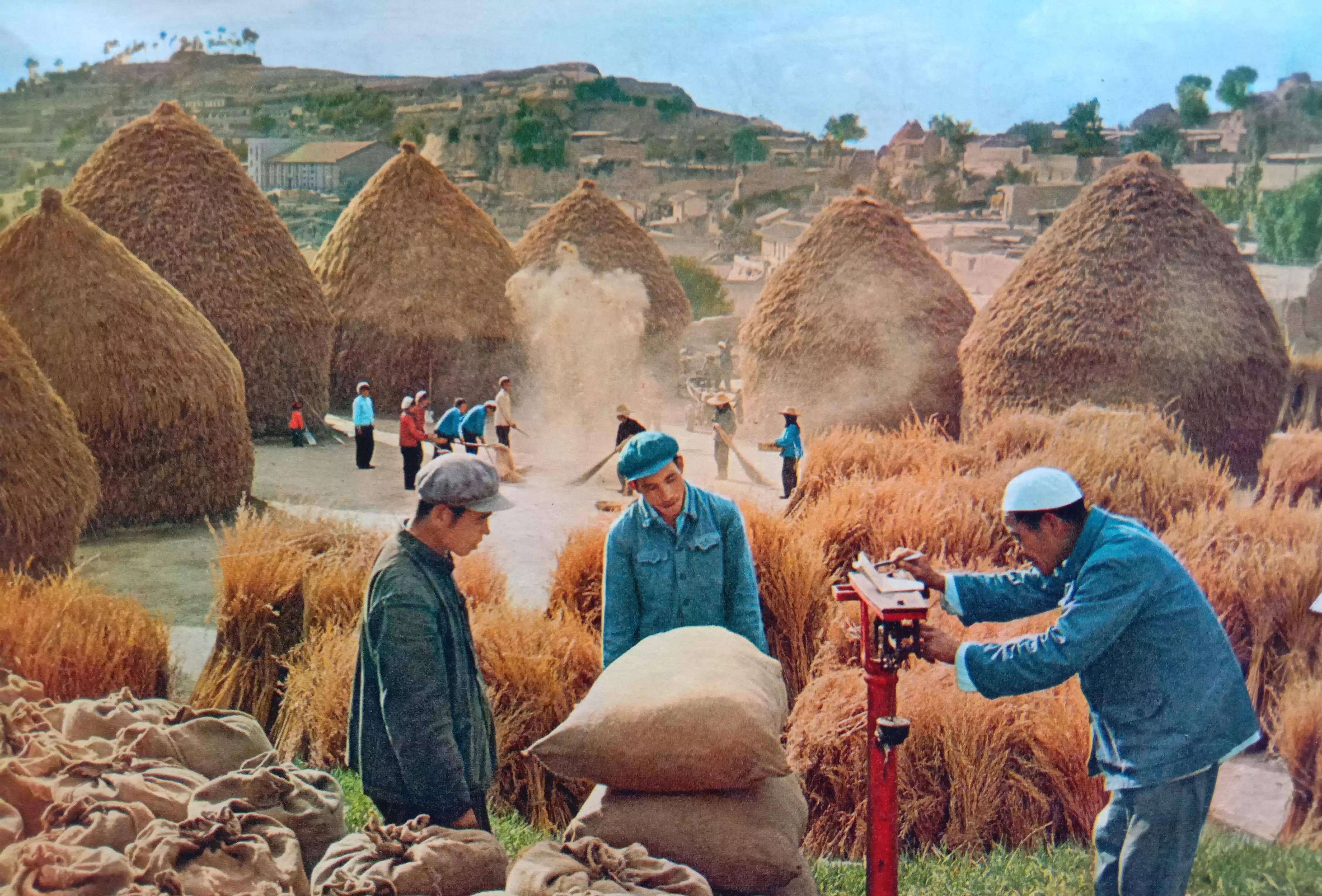 70年代记忆(六)_劳动_青年_农业