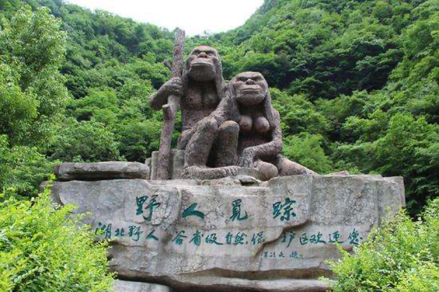 神农架深处还栖息着国家一级保护动物——华南虎.