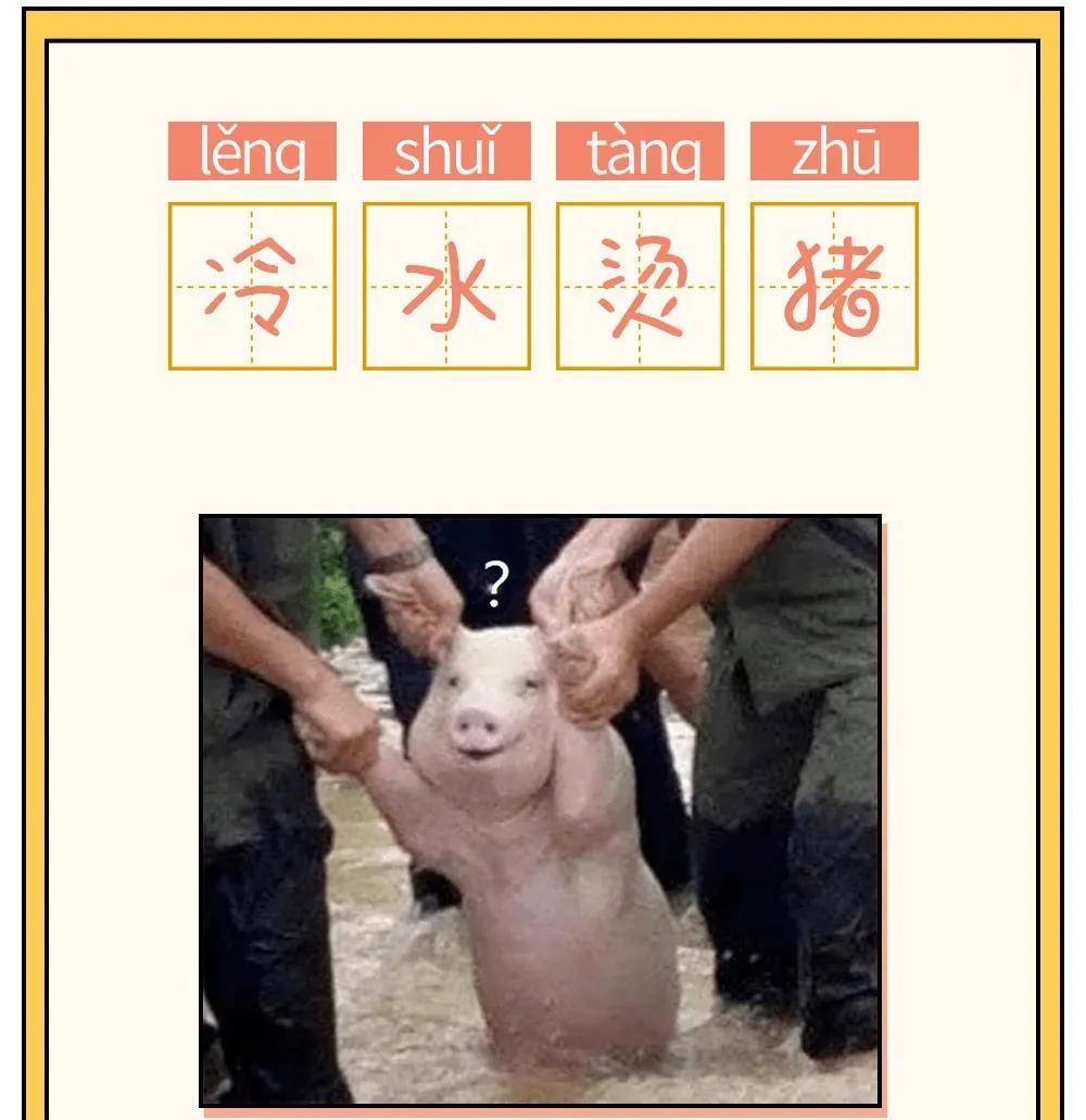 形容猪的成语图片