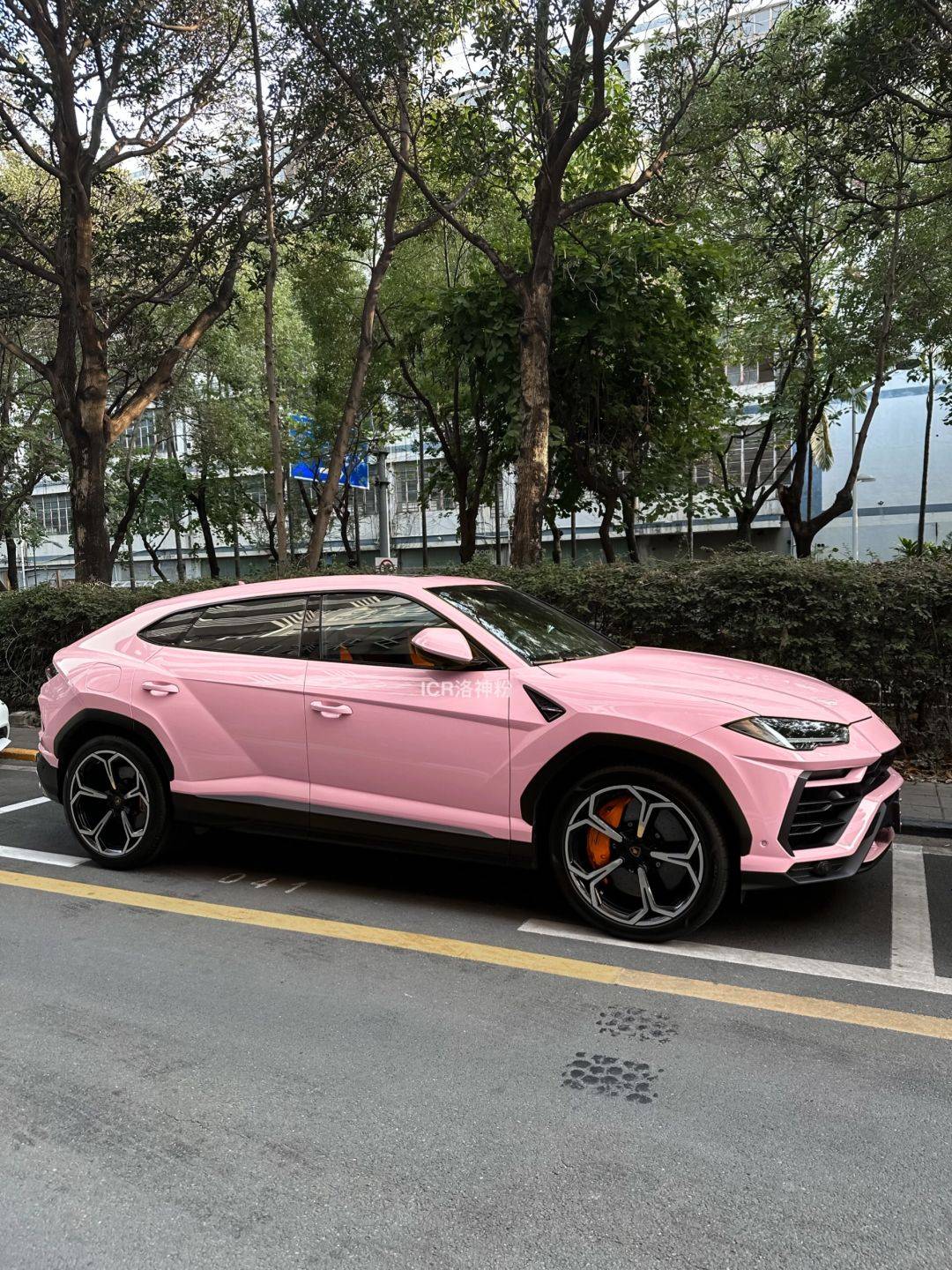 兰博基尼icr改色膜洛神粉,回头率爆棚的洛神粉绝了_搜狐汽车_搜狐网
