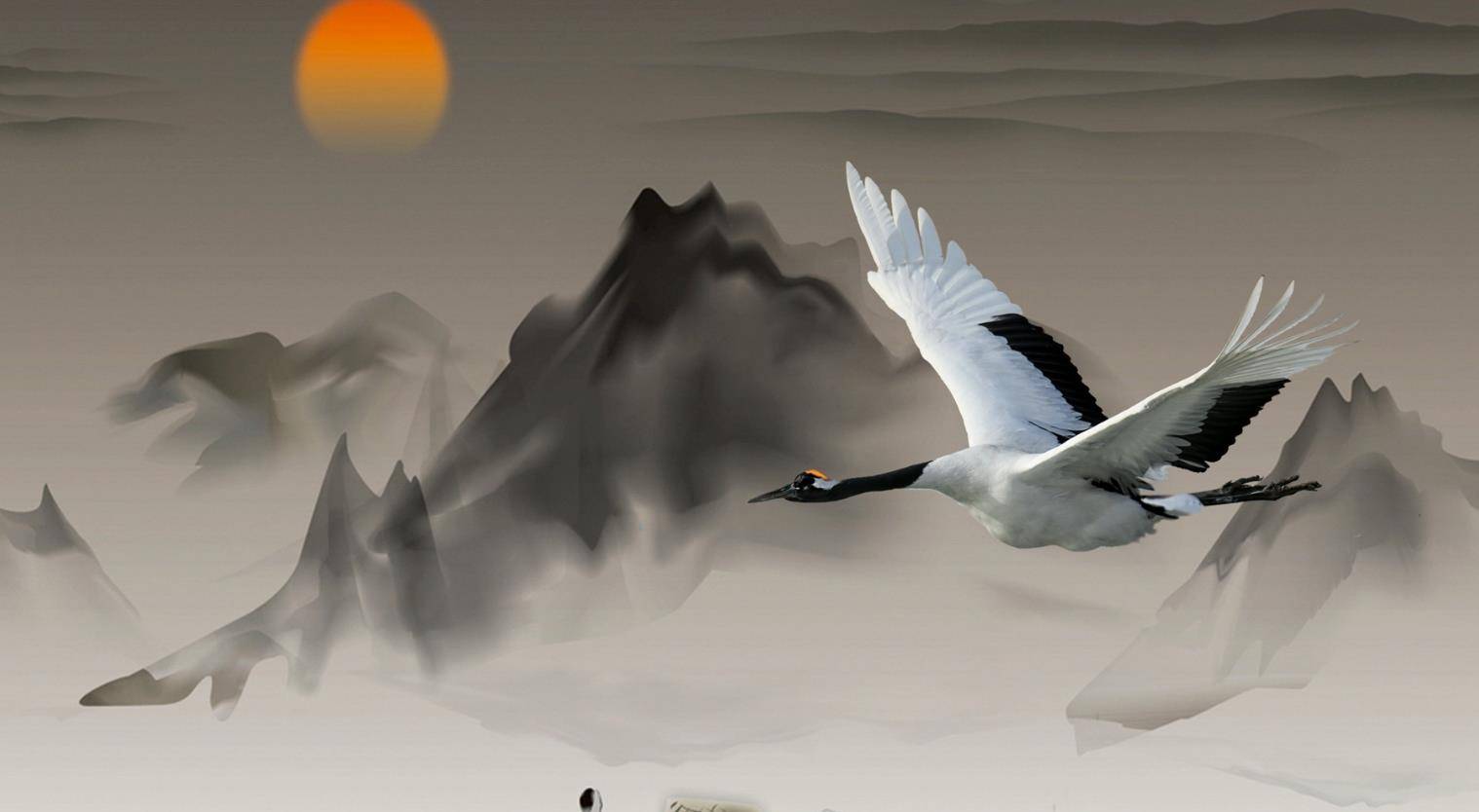 传说中的神鸟凤凰,是一种真实存在的鸟类,现在还生存