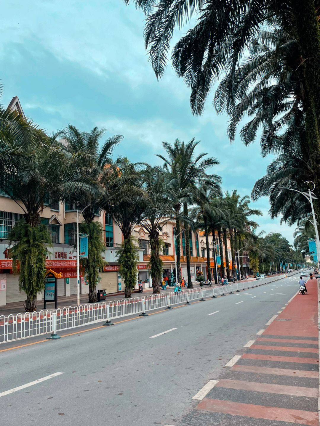 2.团结大街:两旁的椰树非常出片,封面首选1.