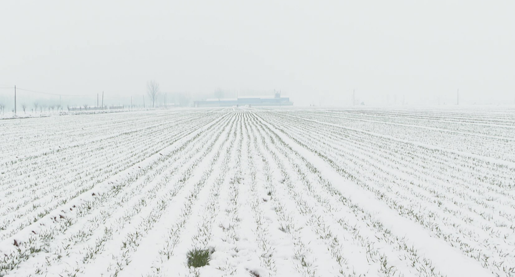 河南鹅毛大雪满天飞 积雪脚脖子深,大家出行一定要注意安全!