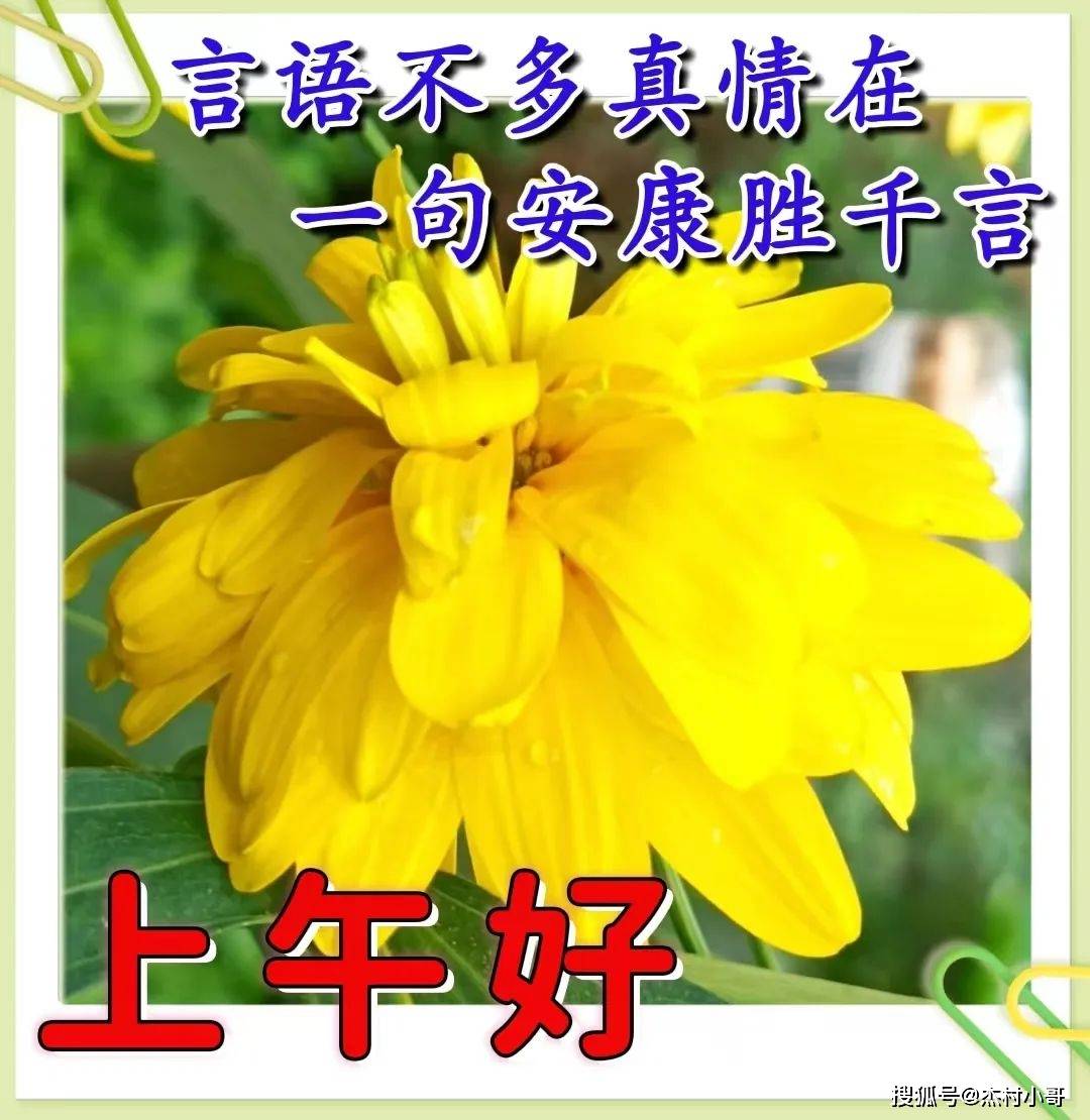 2024立春祝福语图片大全:快乐始于春天,幸福相伴永远!