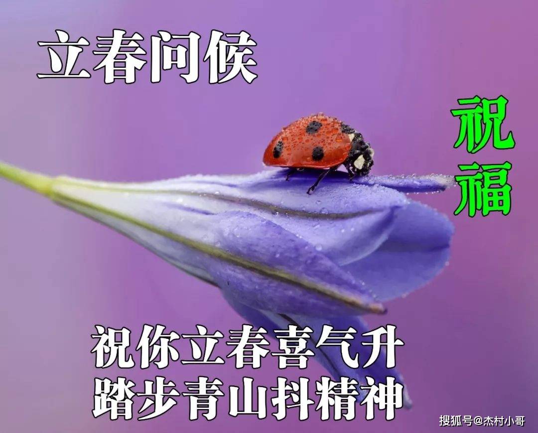 2月4日立春表情包图片大全,早上好精选立春祝福语大全_生活_季节_身体