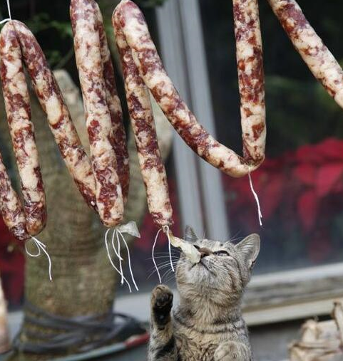 托运腊肉被偷割一块,每年想起这搞笑事,就把阳台挂满腊味_味道_香肠